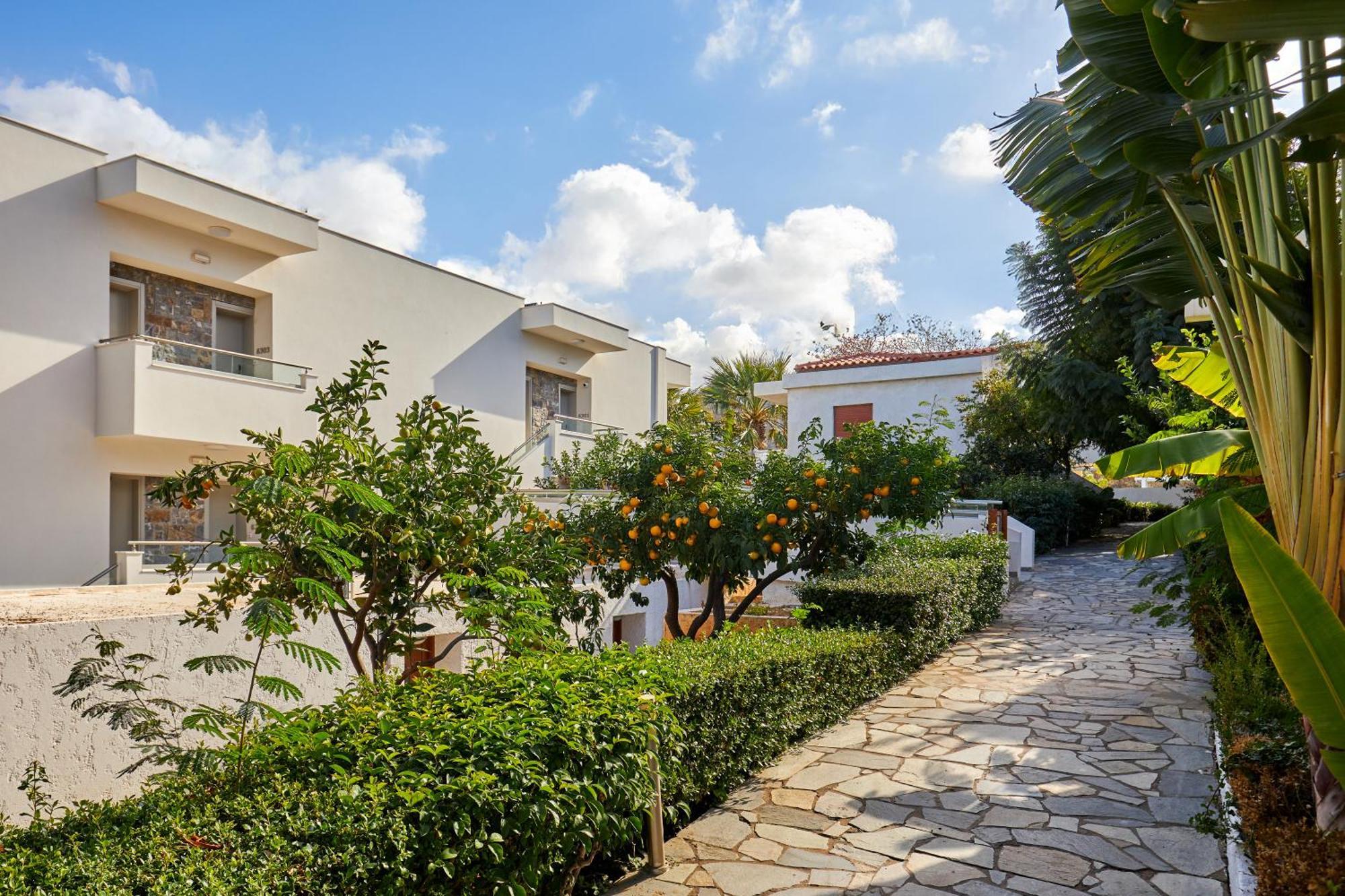 Kyknos Beach Hotel & Bungalows Malia Eksteriør billede