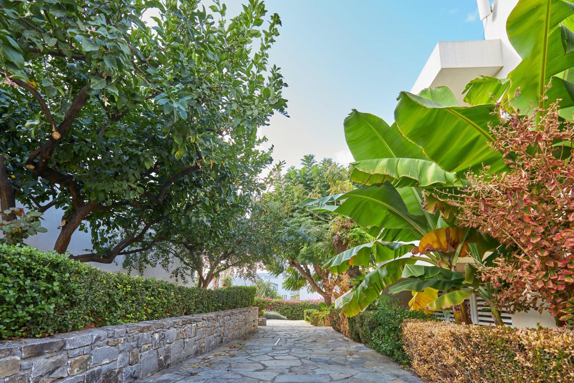 Kyknos Beach Hotel & Bungalows Malia Eksteriør billede